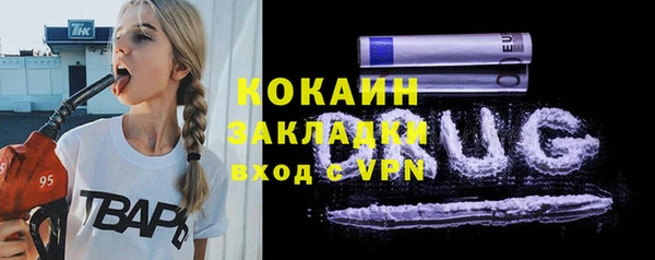 хмурый Бикин