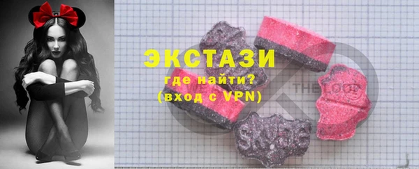 хмурый Бикин