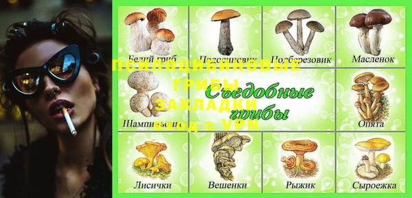 герыч Бронницы