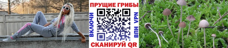 Псилоцибиновые грибы мухоморы  Велиж 